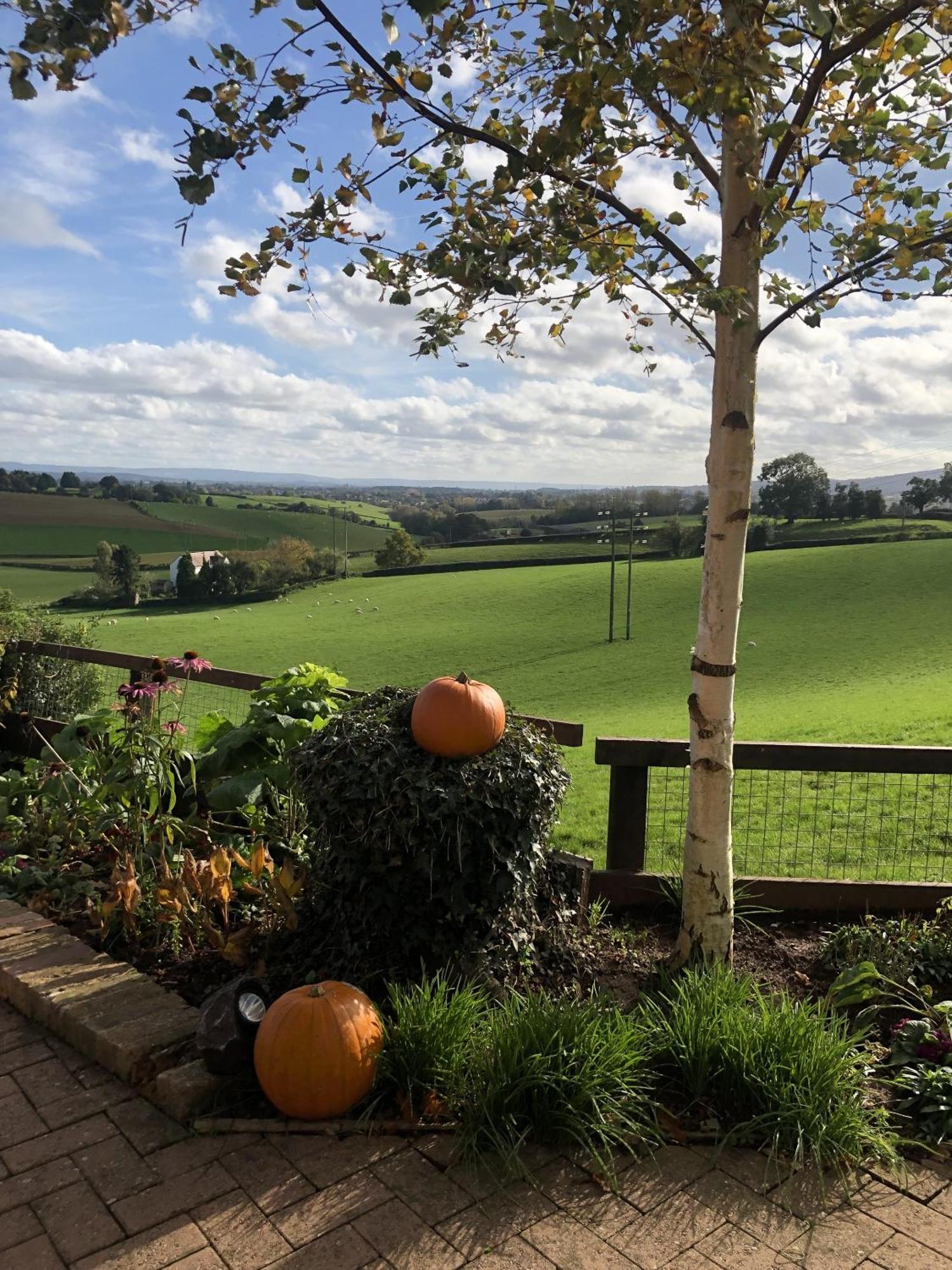 Betula Views Studio Newent Exterior foto